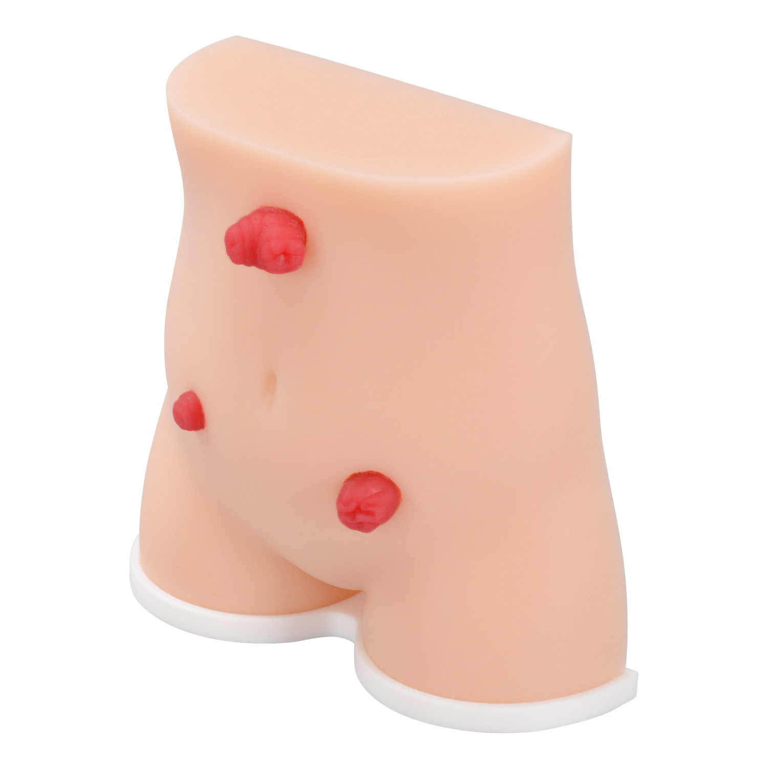 Handheld Stoma Demonstration Model Male and Female Set