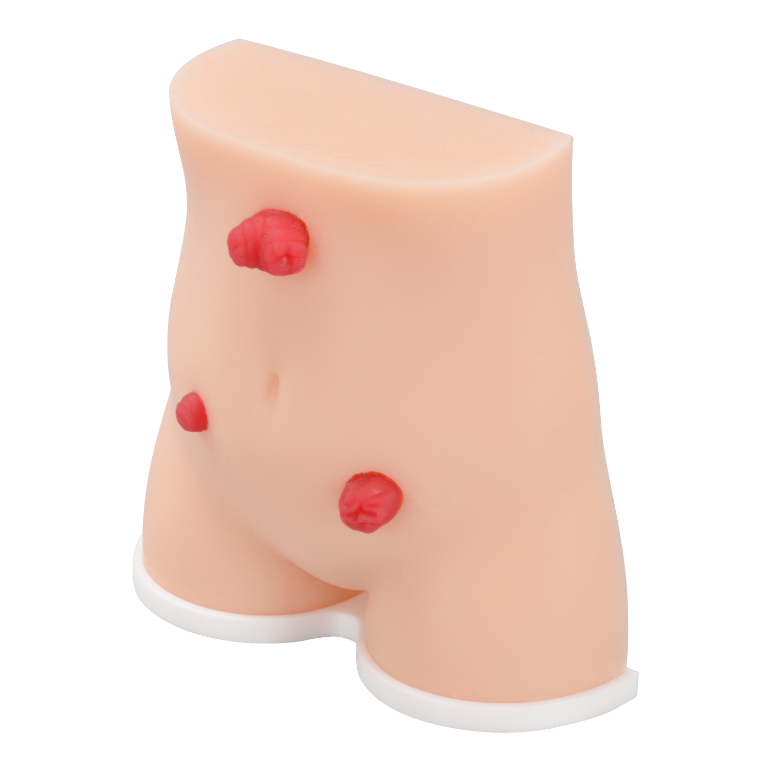 Handheld Stoma Demonstration Model Male and Female Set