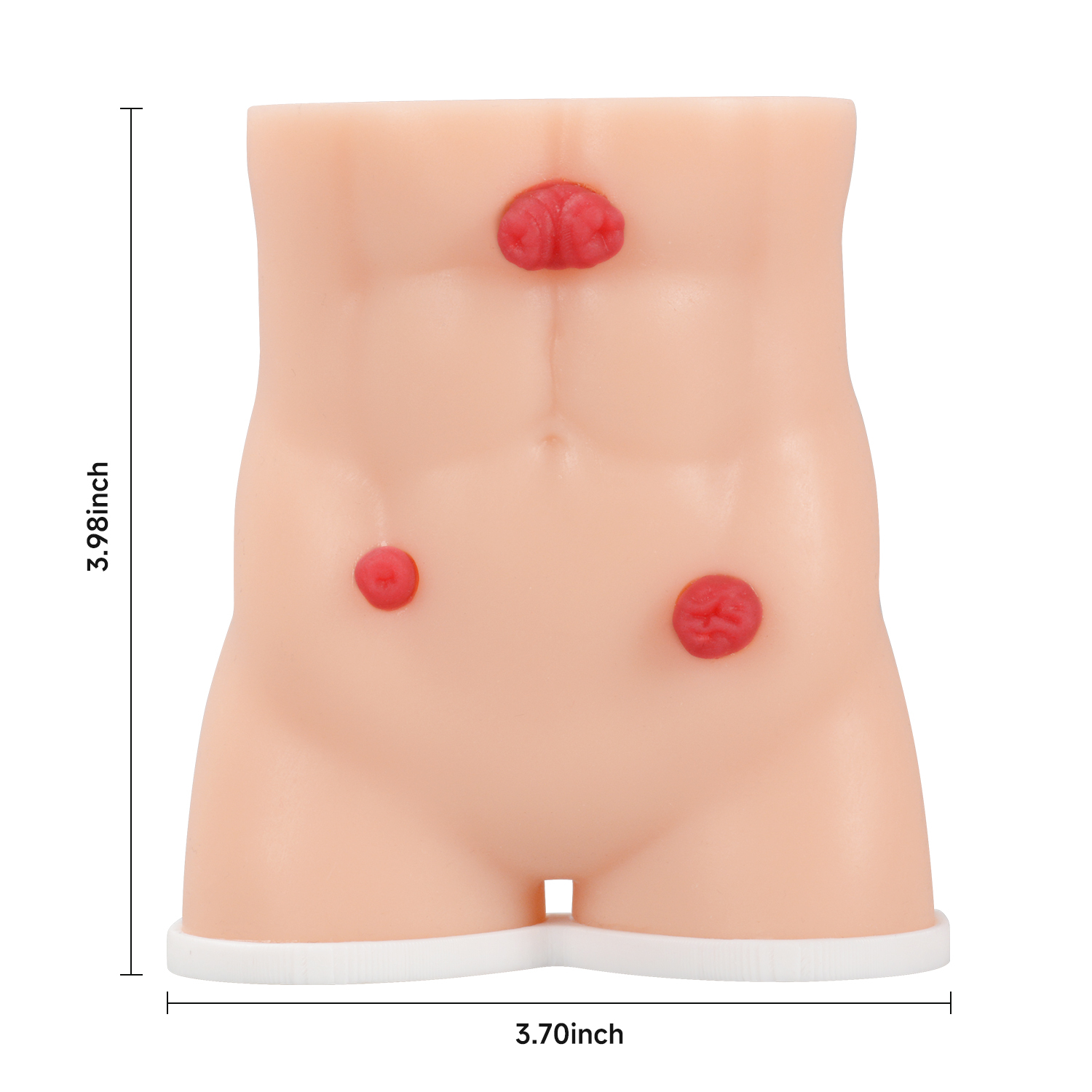 Handheld Stoma Demonstration Model Male and Female Set