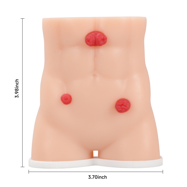 Handheld Stoma Demonstration Model Male and Female Set