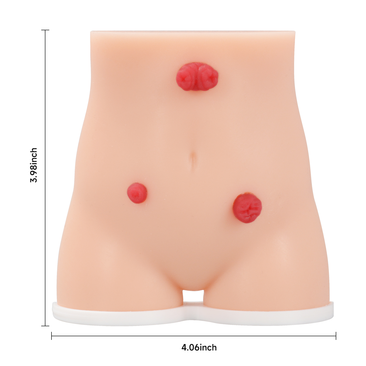 Handheld Stoma Demonstration Model Male and Female Set