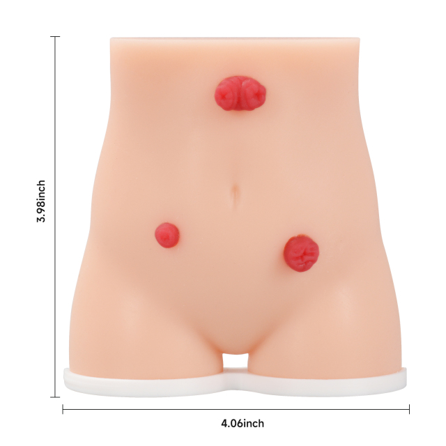 Handheld Stoma Demonstration Model Male and Female Set