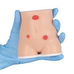 Handheld Stoma Demonstration Model Male and Female Set