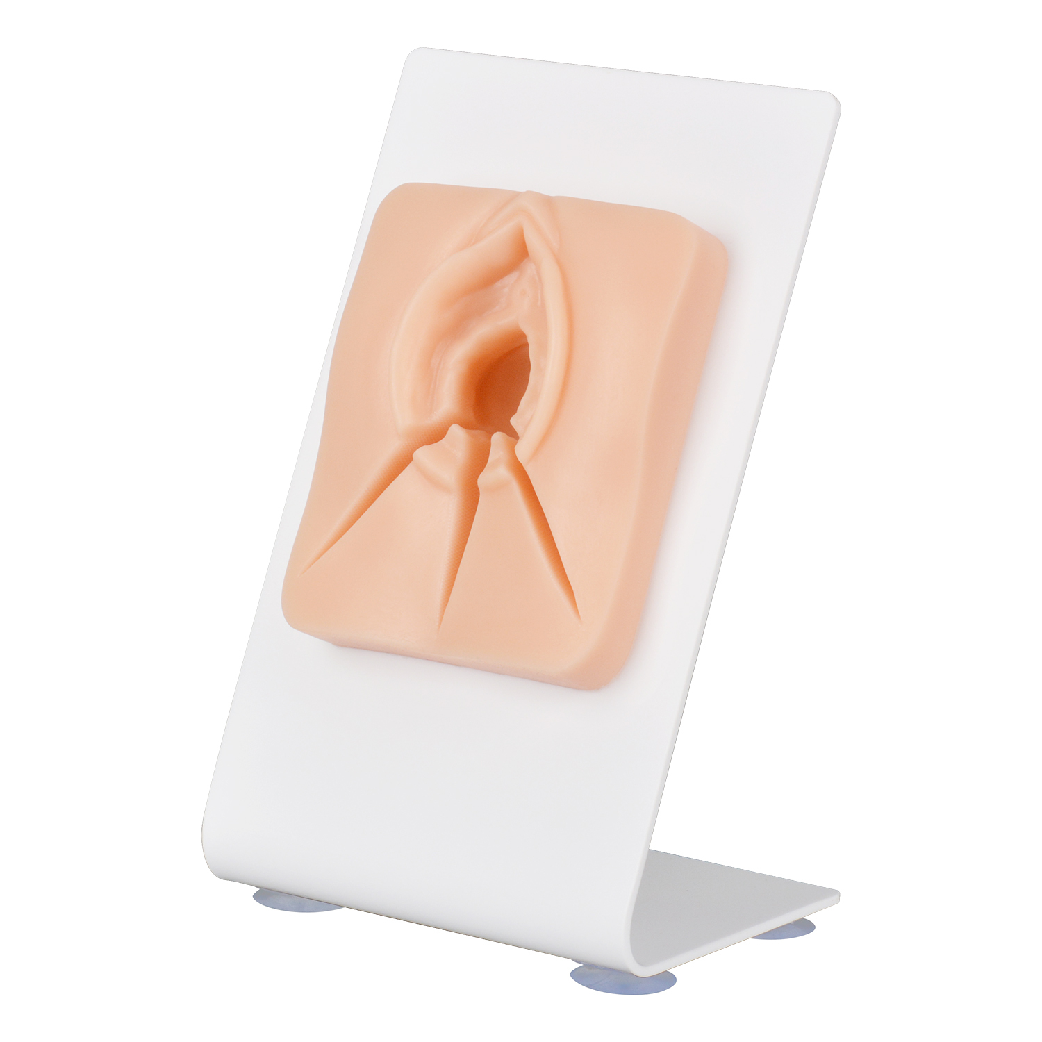 Episiotomy Suturing Model for Multi-Incision Perineal Tear Repair Training