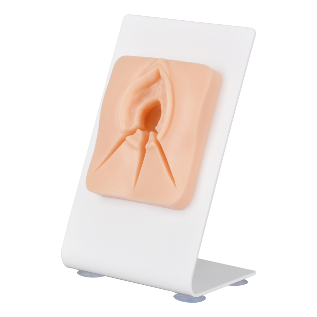 Episiotomy Suturing Model for Multi-Incision Perineal Tear Repair Training