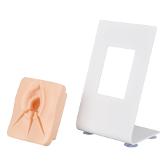 Episiotomy Suturing Model for Multi-Incision Perineal Tear Repair Training