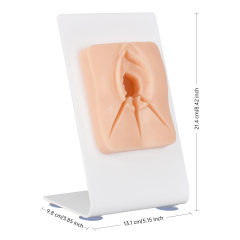 Episiotomy Suturing Model for Multi-Incision Perineal Tear Repair Training