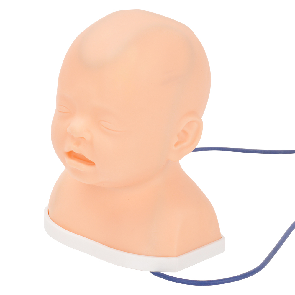 Pediatric Scalp Vein IV Training Model