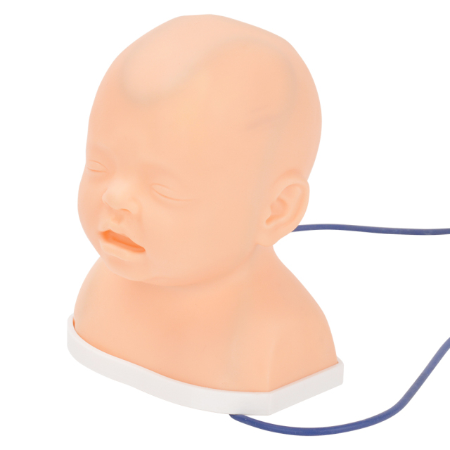 Pediatric Scalp Vein IV Training Model