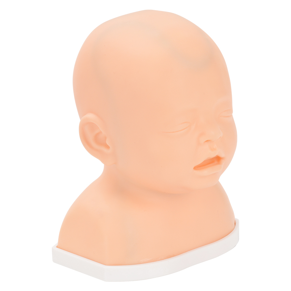 Pediatric Scalp Vein IV Training Model