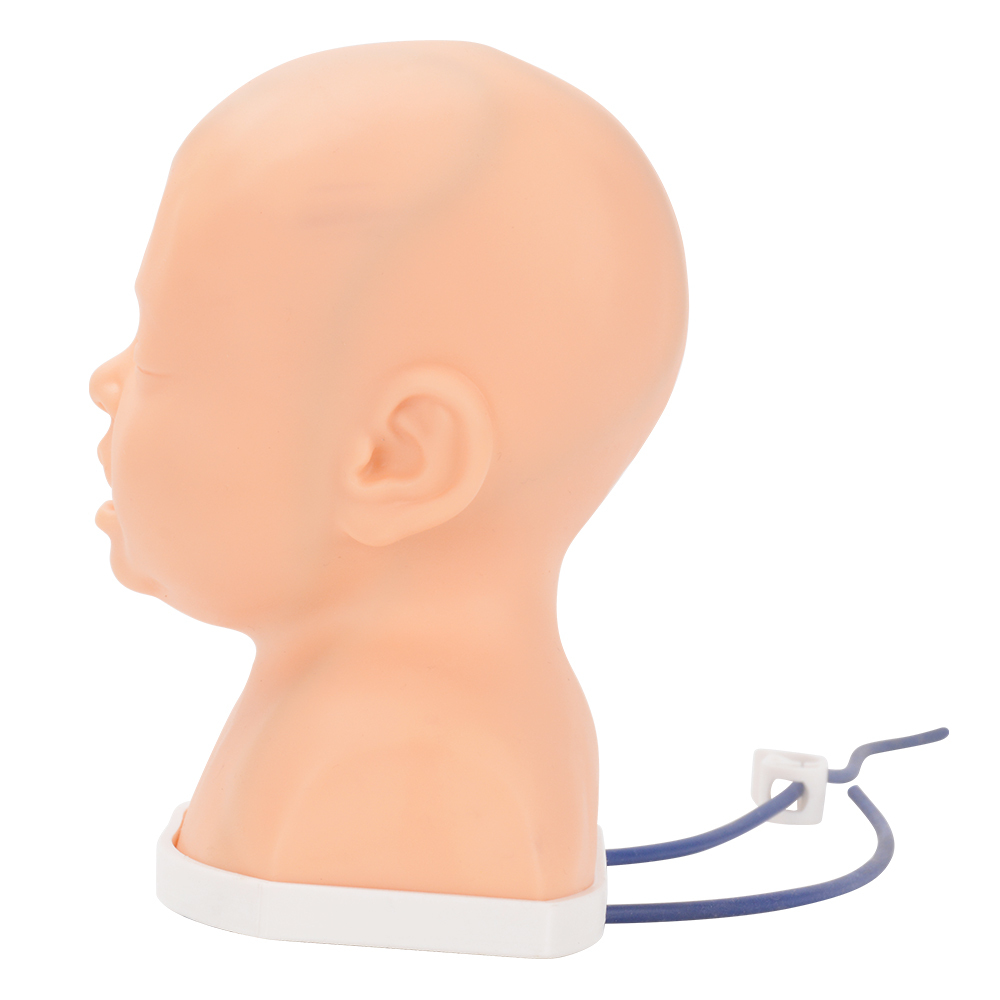 Pediatric Scalp Vein IV Training Model
