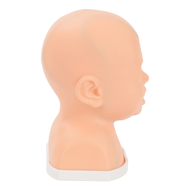 Pediatric Scalp Vein IV Training Model