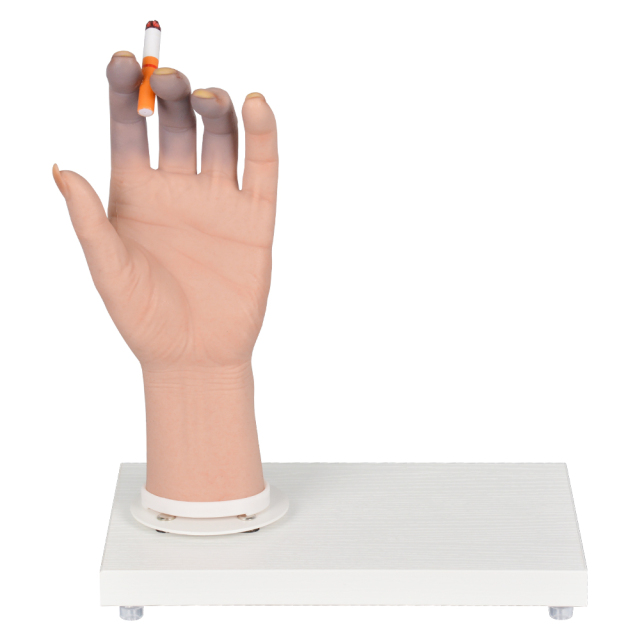 Female Smoking Effects Hand Model Display with Rotating Tray