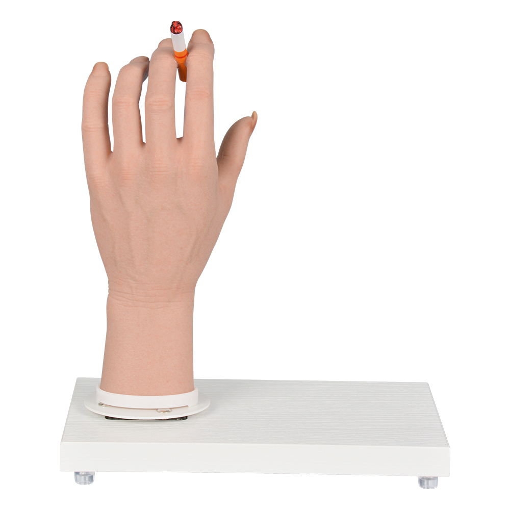 Female Smoking Effects Hand Model Display with Rotating Tray