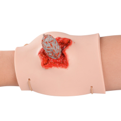 HighFidelity Wearable Steel Bar Penetration Training Model for Emergency Rescue