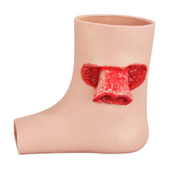 Foot Trauma Simulation Wound Model