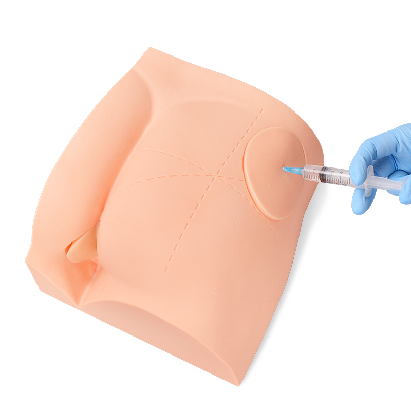 Hip Injection Trainer with Replaceable Pad for Gluteal IM Injection Practice