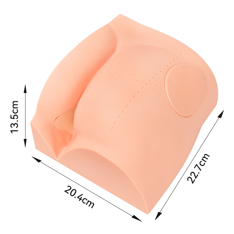 Hip Injection Trainer with Replaceable Pad for Gluteal IM Injection Practice