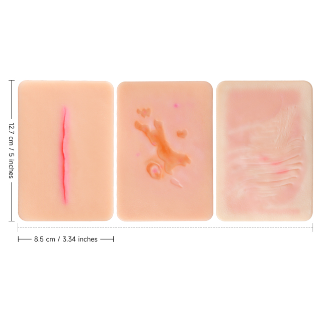 Atrophic Scar Simulation Model