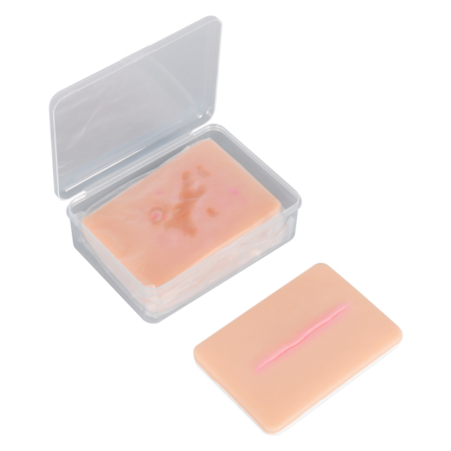 Atrophic Scar Simulation Model
