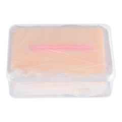 Atrophic Scar Simulation Model