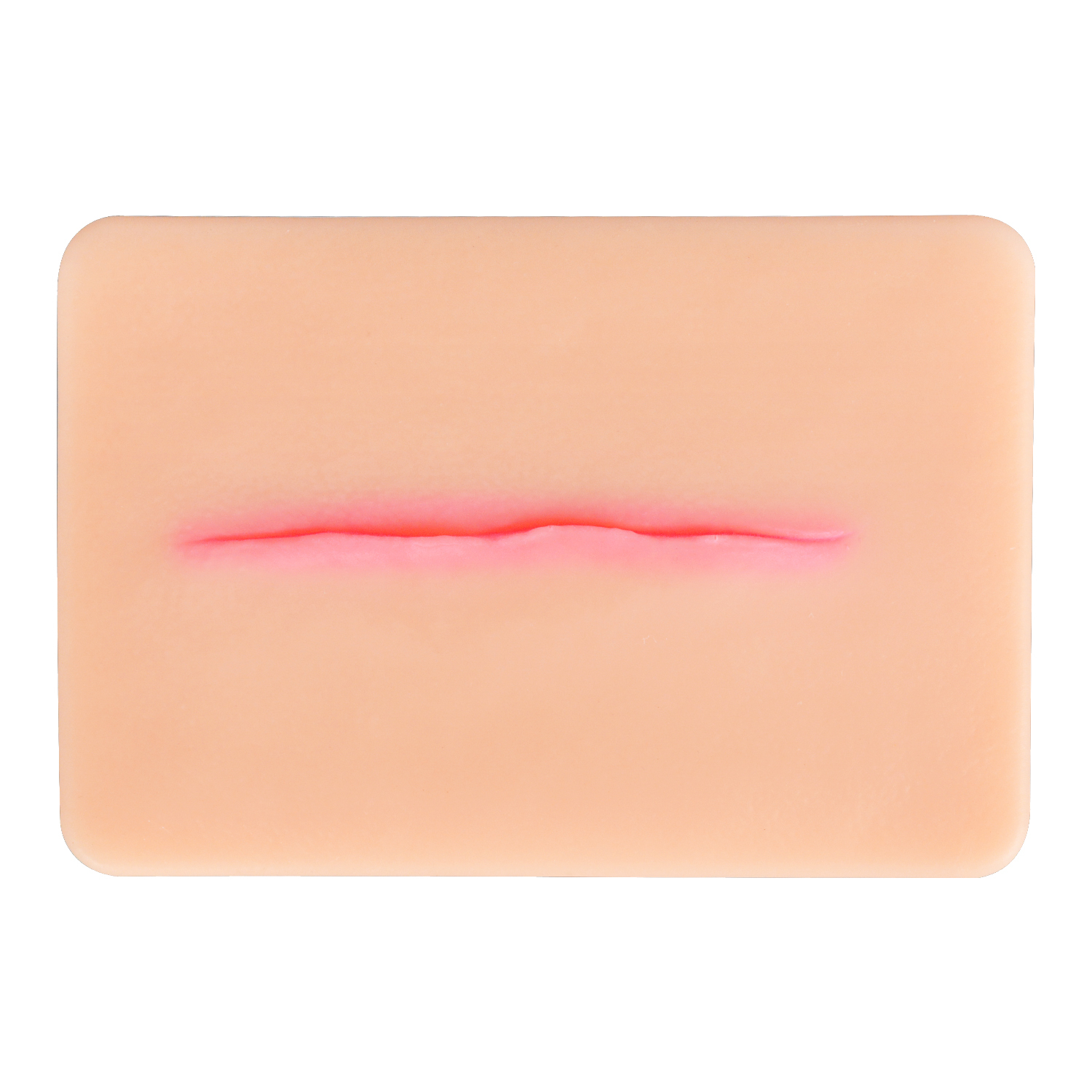 Atrophic Scar Simulation Model