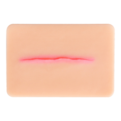 Atrophic Scar Simulation Model