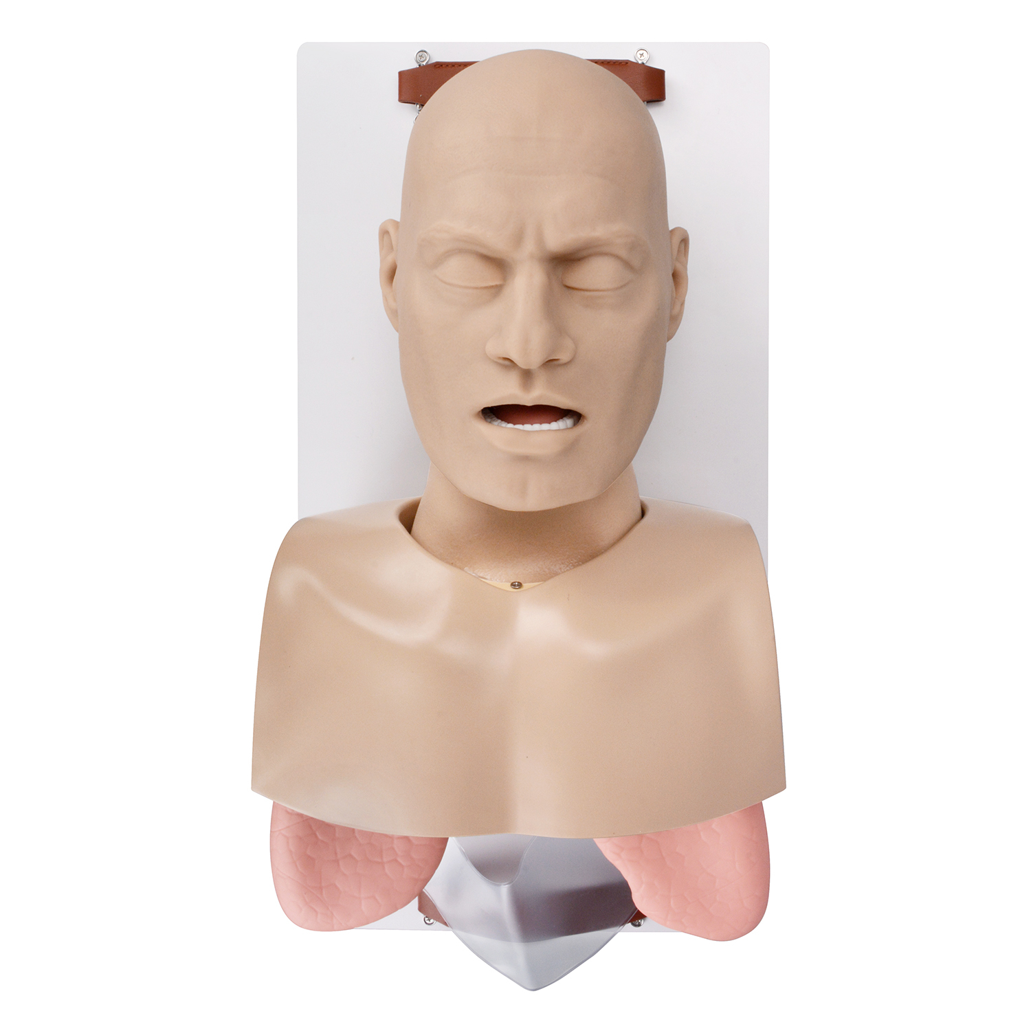 Adult Advanced Airway Management Trainer, Intubation Manikin