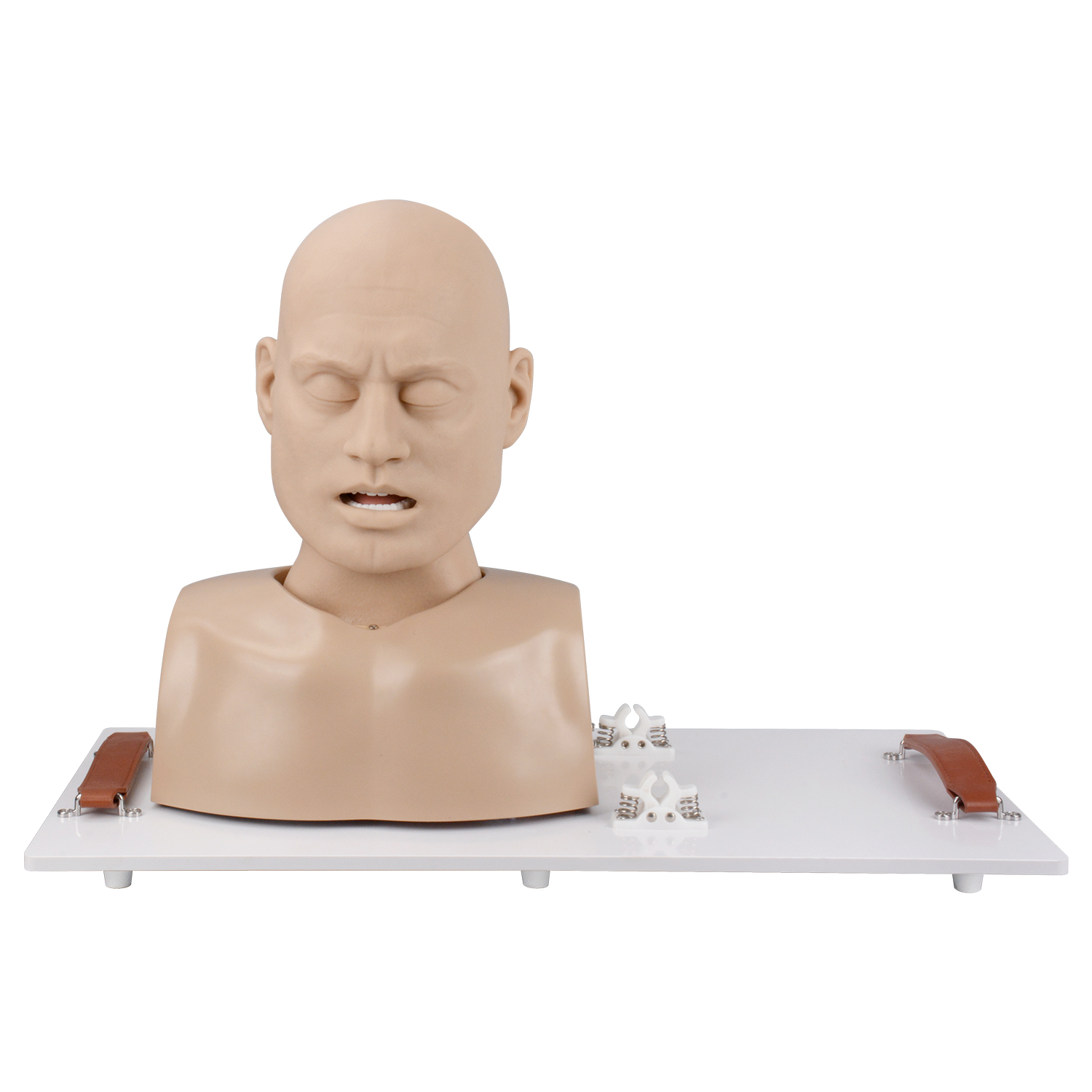 Adult Advanced Airway Management Trainer, Intubation Manikin