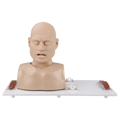 Adult Advanced Airway Management Trainer, Intubation Manikin