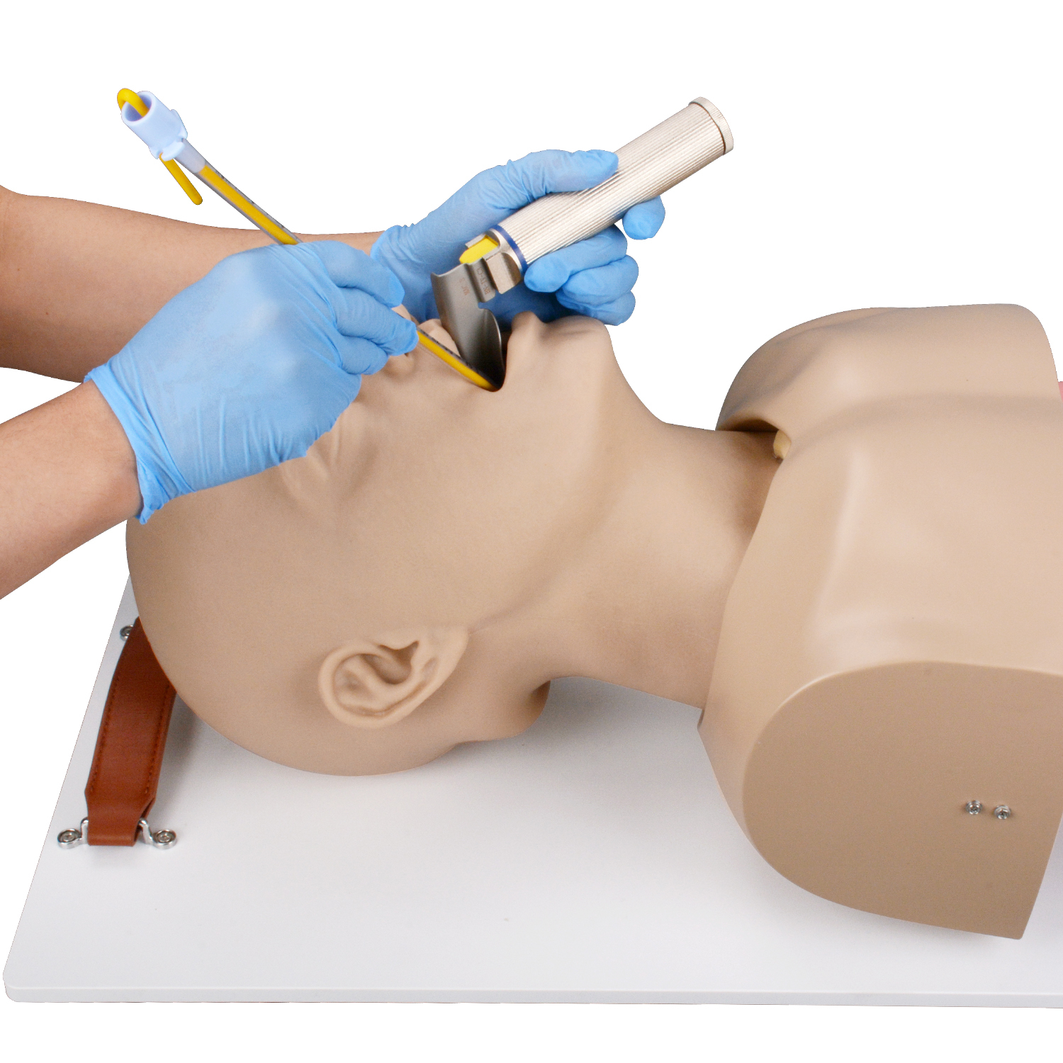 Adult Advanced Airway Management Trainer, Intubation Manikin