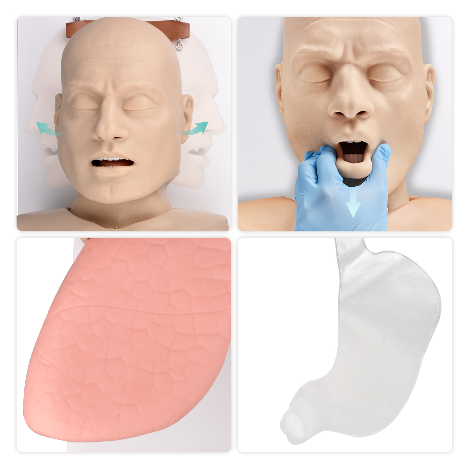 Adult Advanced Airway Management Trainer, Intubation Manikin