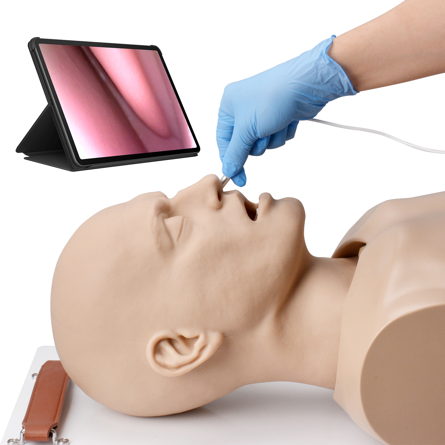 Adult Advanced Airway Management Trainer, Intubation Manikin