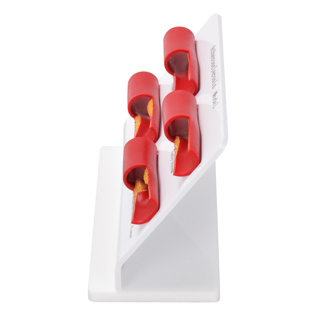 Atherosclerosis Anatomical Model