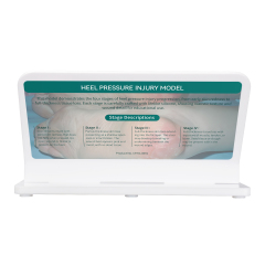 Heel Pressure Injury Stages Display Model