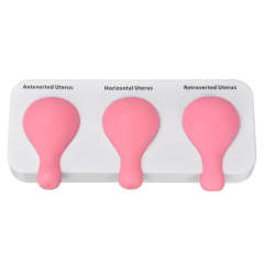 Uterine Aspiration Training Model