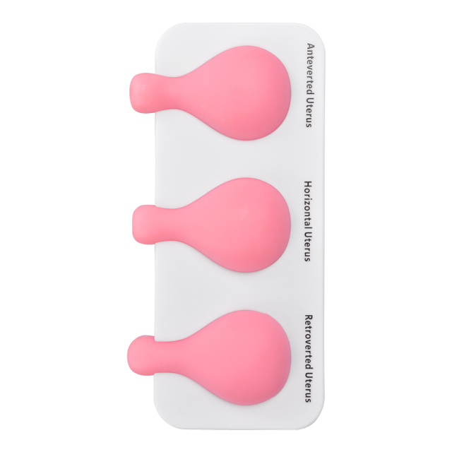 Uterine Aspiration Training Model