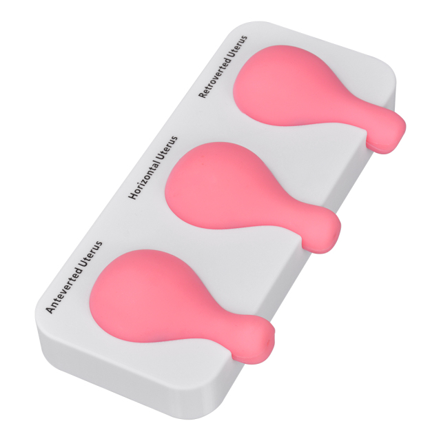 Uterine Aspiration Training Model