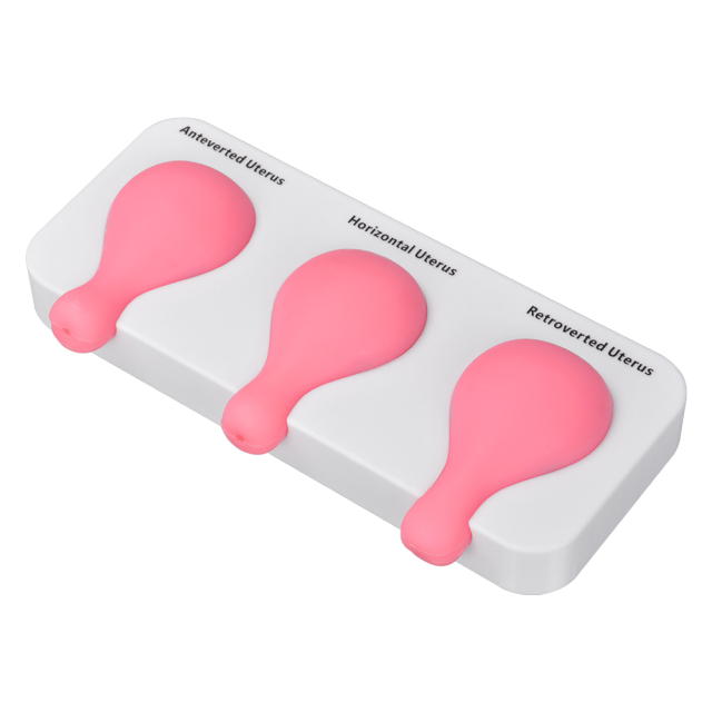 Uterine Aspiration Training Model