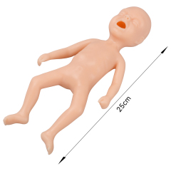 24-Week Premature Infant Model