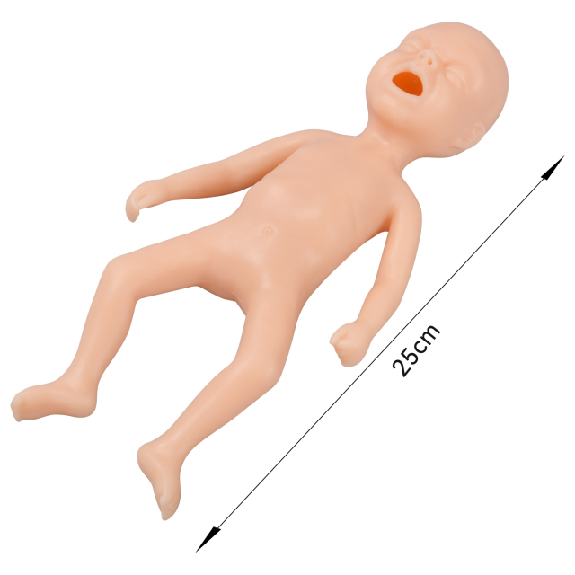 24-Week Premature Infant Model