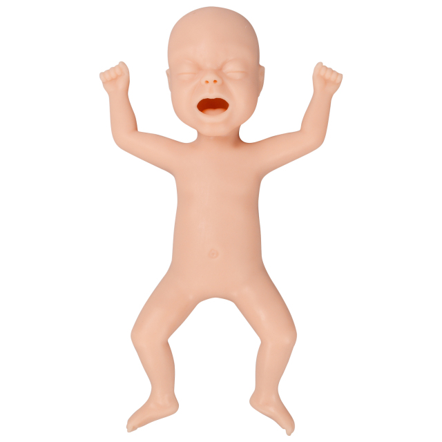 30-Week Premature Infant Model