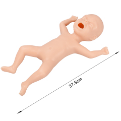30-Week Premature Infant Model