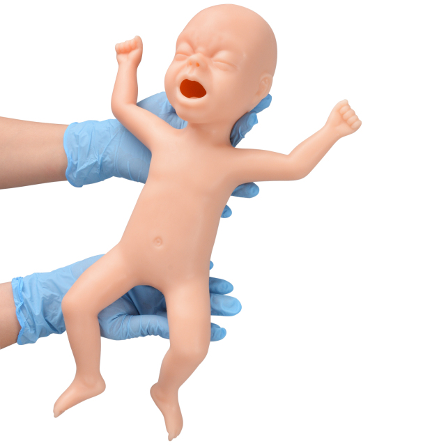 30-Week Premature Infant Model