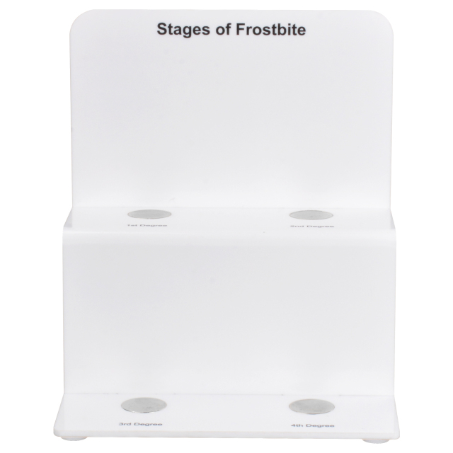 Frostbite Toe Staging Model for Clinical Teaching and Demonstration