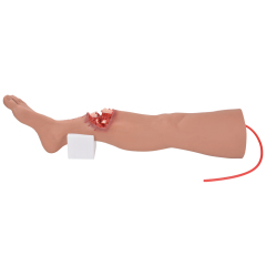 Lower Leg Fracture Full Leg Training Model