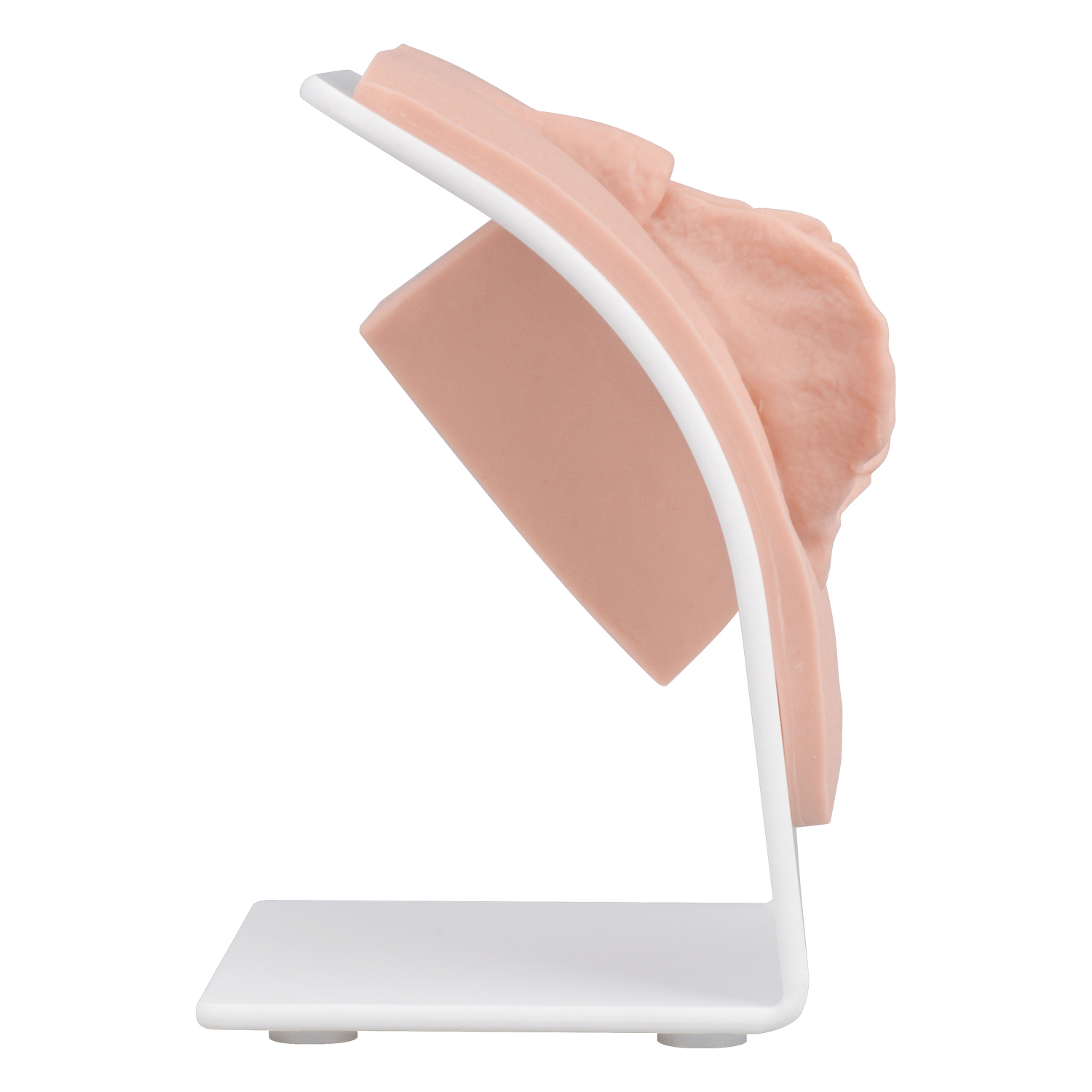 Labia Repair Surgical Training Model