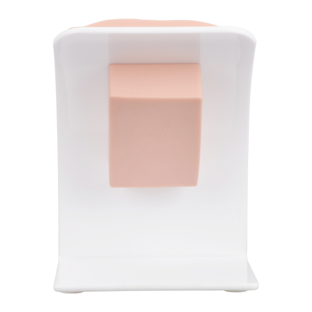 Labia Repair Surgical Training Model