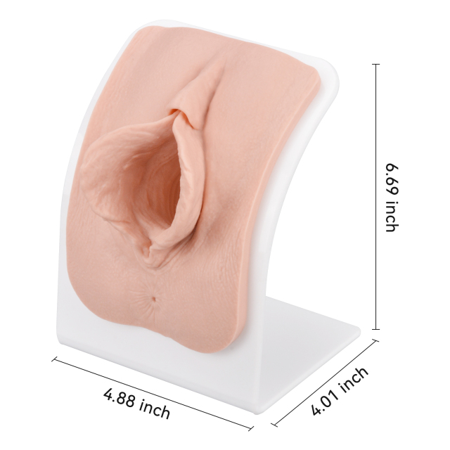 Labia Repair Surgical Training Model