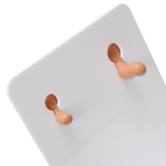Ear Canal Irrigation Training Simulator Model